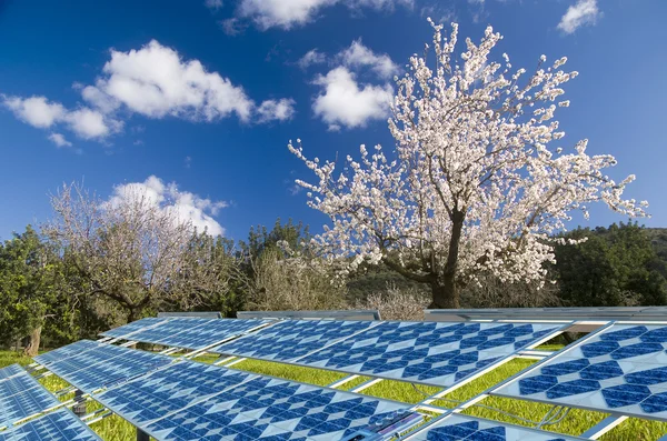 Sustainable energy solar panels — Stock Photo, Image