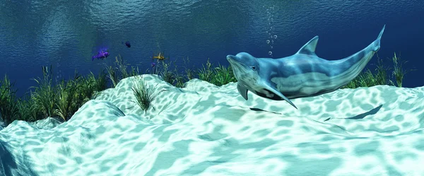 Ilustración 3d fondo marino con un delfín —  Fotos de Stock