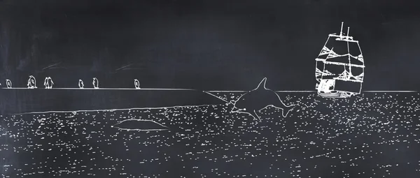 Иллюстрация Дельфина Лодки Пингвинов Нарисованных Доске — стоковое фото