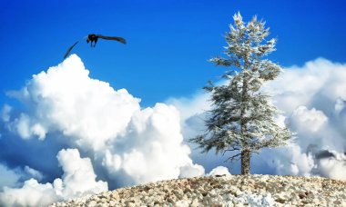 Şafakta bulutlarda uçan Kartal 'ın 3 boyutlu resmi