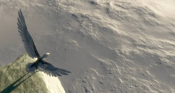 Illustration Eines Adlers Mit Flügeln Der Einen Punkt Ausbreitet Fliegen — Stockfoto