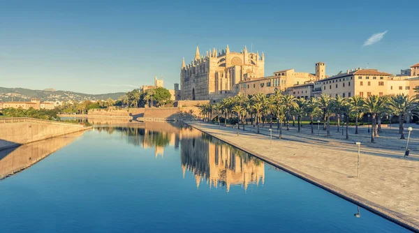 Mallorca Katedralen Balearerna — Stockfoto