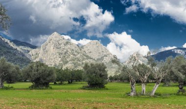 Raixa, genel kullanım tramuntana, Palma de mallorca dağlarında bir özellik toprakları