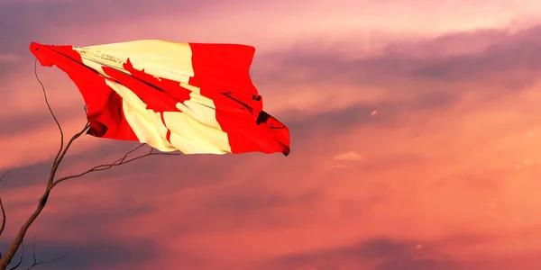 Ilustração Bandeira Canadá — Fotografia de Stock