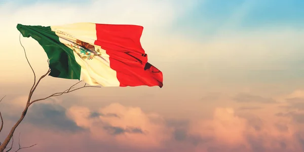 Ilustración Bandera México —  Fotos de Stock