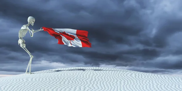 Illustratie Van Vlag Van Canada — Stockfoto