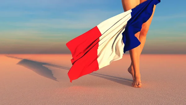 Иллюстрация Флага Франции — стоковое фото