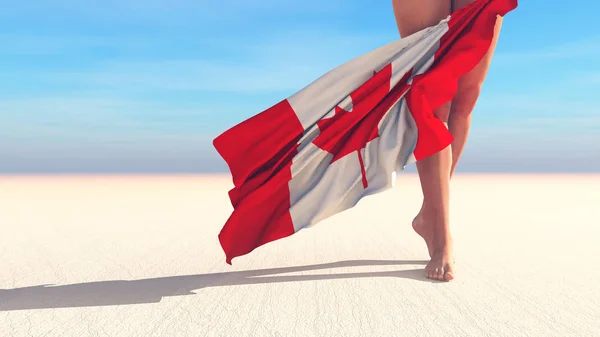 Kanada Bayrağının Illüstrasyonu — Stok fotoğraf