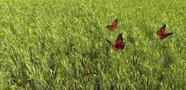 Ilustracja Motyle Latające Pole — Zdjęcie stockowe