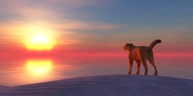 3d illustration dog on the beach and sunset