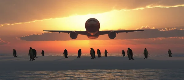 Pingüinos saliendo de un iglú — Foto de Stock