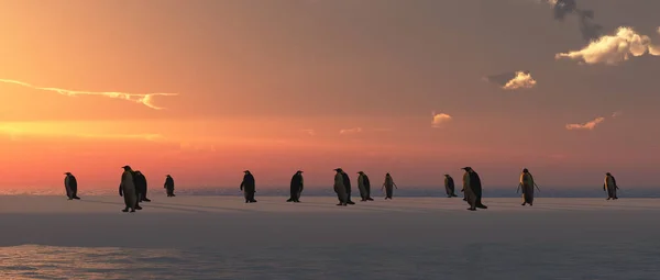 Pinguins que saem de um iglu — Fotografia de Stock