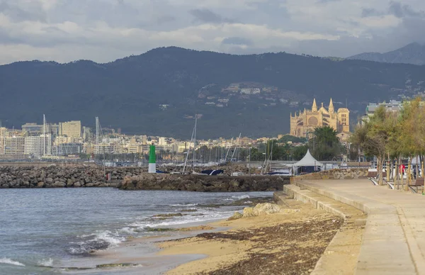 Mallorca-katedralen — Stockfoto