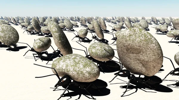 Concept work, team of ants — Stock Photo, Image