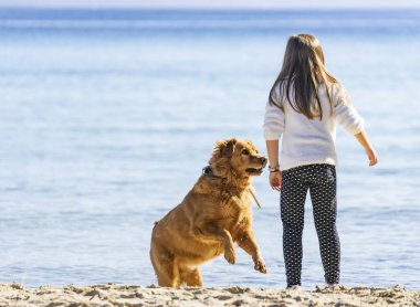 Sahilde bir köpekle oynuyorum.