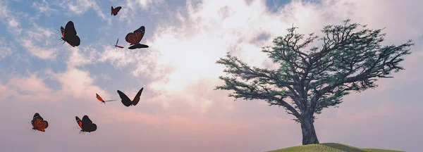 蝴蝶在一棵树旁飞舞 — 图库照片