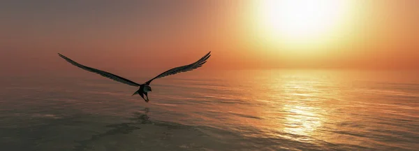 Adlerflug bündig mit Wasser — Stockfoto