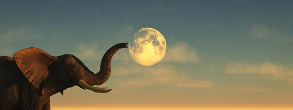 Illustrazione Elefante Luna Tramonto — Foto Stock