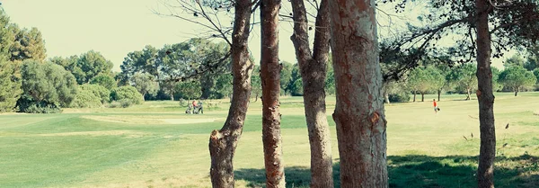 Mallorca Golf Sahası Balear Adaları — Stok fotoğraf