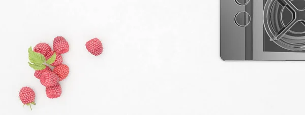 Illustration Ernährungskonzept Wilde Früchte Himbeere — Stockfoto