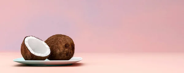 Illustration Gesundes Ernährungskonzept Kokosnuss — Stockfoto