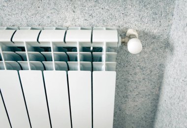 ev gaz Kalorifer portre