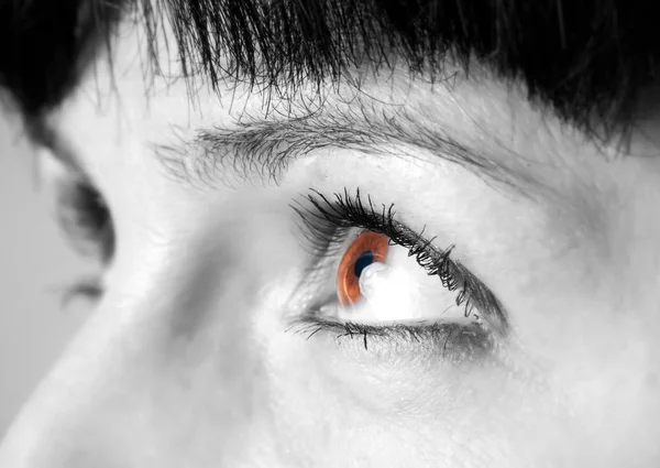Makro-Nahaufnahme weiblicher Augen — Stockfoto