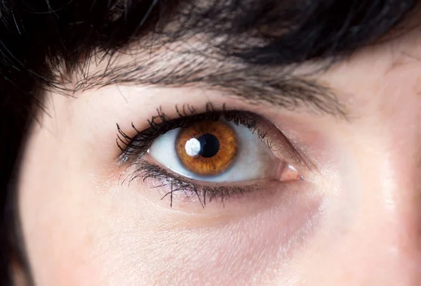 Fêmea olho macro closeup — Fotografia de Stock