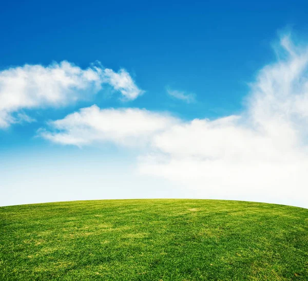 Pelouse d'herbe d'été avec ciel — Photo