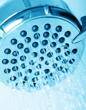 Duş kafa makro portre