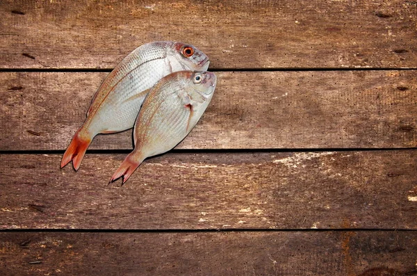 Fisch auf dem Tisch — Stockfoto