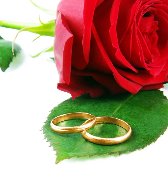 Anillos de boda con la rosa roja — Foto de Stock