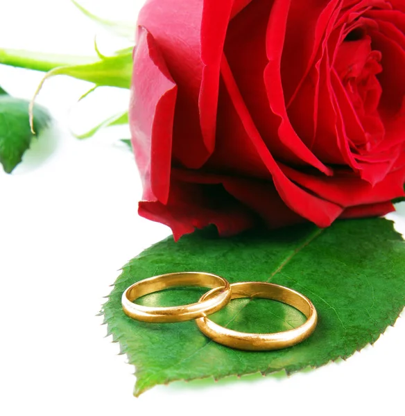 Wedding rings with the red rose — Stock Photo, Image