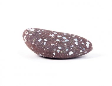 Deniz taş üzerinde beyaz izole