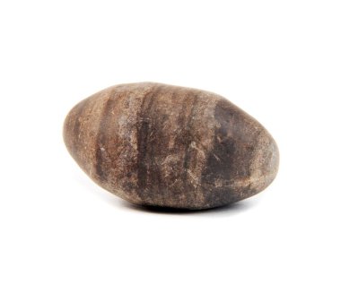 Deniz taş üzerinde beyaz izole