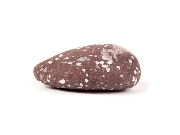 Sea stone isolated on the white — Stock Photo, Image