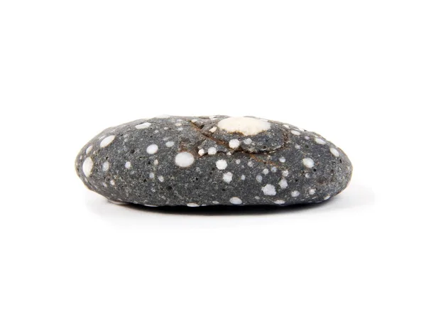 Sea stone isolated on the white — Stock Photo, Image