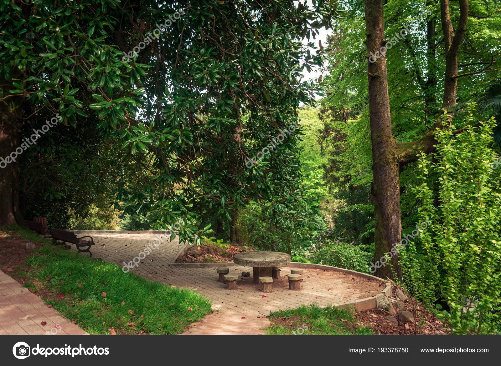 Botanical Gardens In Batumi Georgia Stock Photo C Goglik83