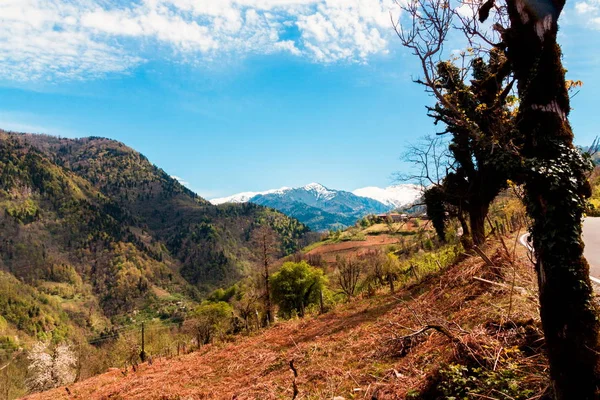 Landscape in the mountains, Ajara, Georgia.Caucasus — Stock Photo, Image