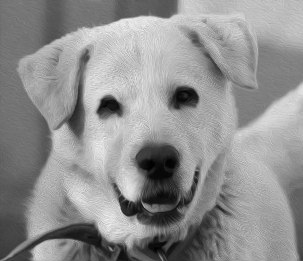 美しいラブラドール犬の肖像画のデジタル油絵 — ストック写真