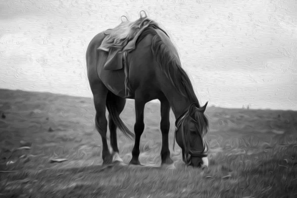 Pintura a óleo digital de cavalo comendo no campo — Fotografia de Stock