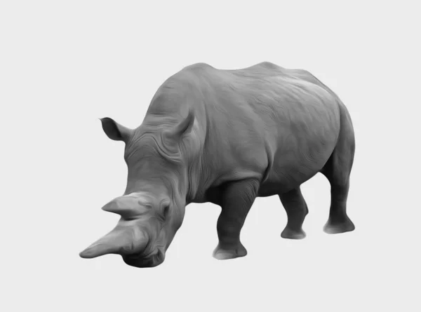 Digital oil painting of rhino — Stock Photo, Image
