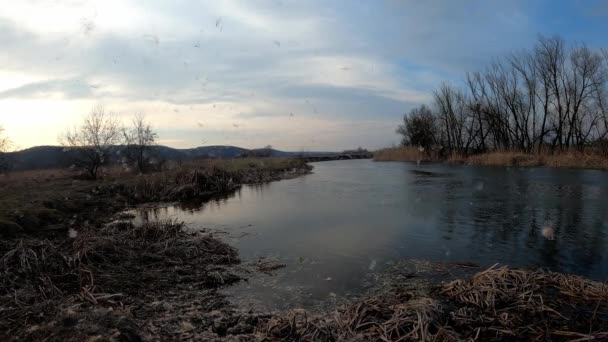 Evening Landscape River Decorated Flying Flakes — Stock Video