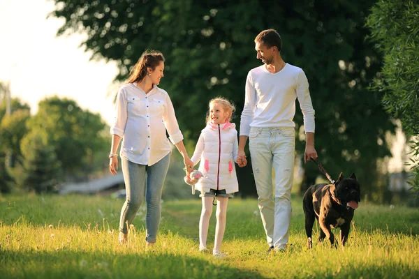 Schwangere mit Tochter und Mann beim Spaziergang im Park — Stockfoto