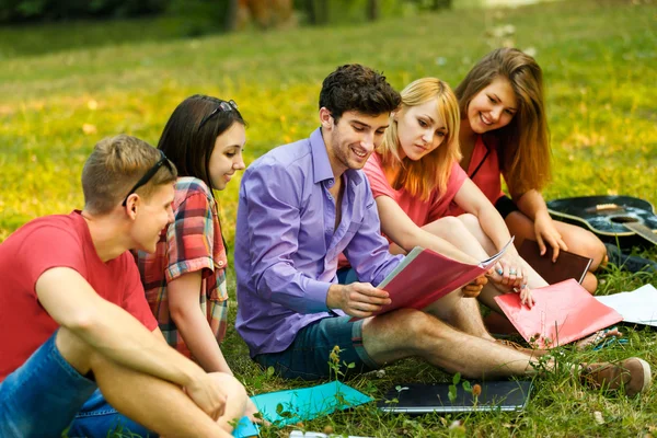 Группа студентов с ноутбуком, отдыхающих в парке — стоковое фото