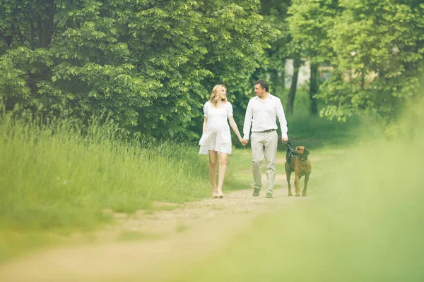 Mutlu çift müstakbel anne ve baba parkta köpekle yürüyorlar. — Stok fotoğraf