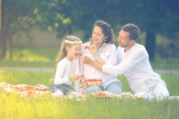 Feliz padre de una hija y una madre embarazada en un picnic . —  Fotos de Stock