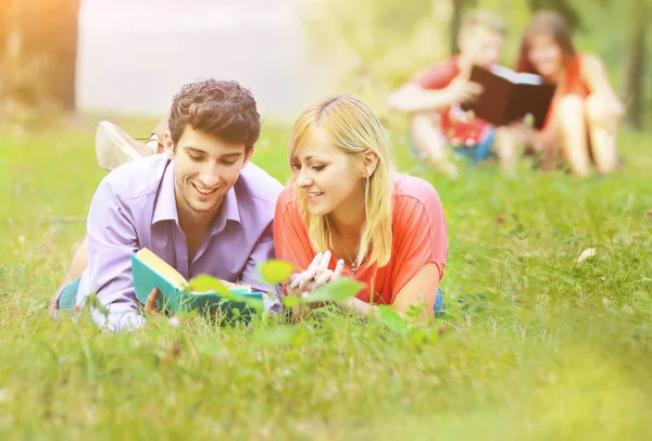 Couple of successful student with textbooks in the park on a sunny lawn on the background of her colleagues — Stock Photo, Image