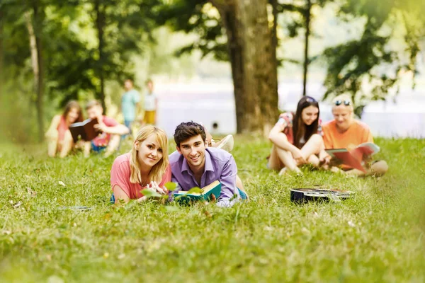 Paar erfolgreiche Schüler mit einem Lehrbuch im Park an einem sonnigen Tag — Stockfoto