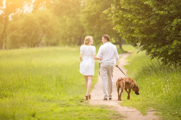 Lyckliga par blivande föräldrar på promenad med hunden i parken — Stockfoto